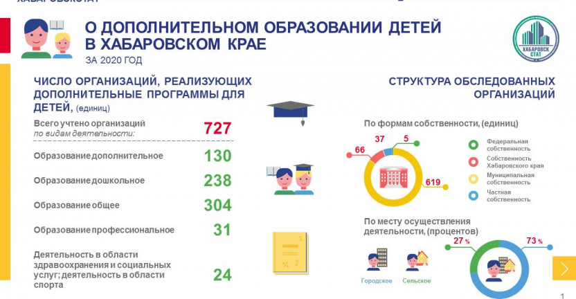 О дополнительном образовании детей в Хабаровском крае за 2020 год